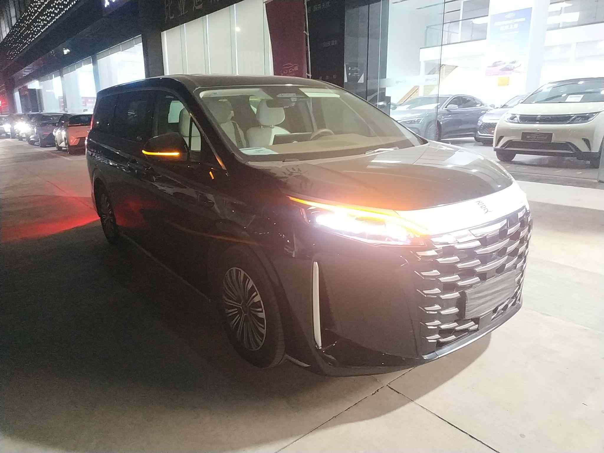 比亚迪 夏 2025款 DM-i 1.5T 180km 超越型(3)