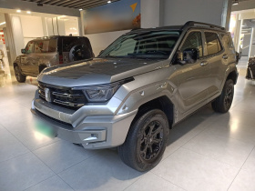 坦克400新能源 2024款 Hi4-T 越野版