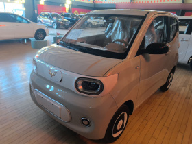 五菱汽车 宏光MINIEV 2024款 第三代 215km 青春版