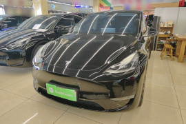 特斯拉 Model Y 2021款 标准续航后驱版