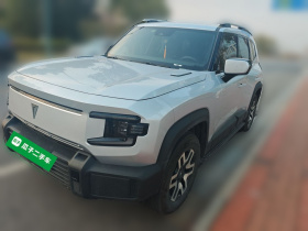 深蓝汽车 深蓝G318 2024款 两驱舒享版