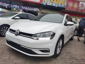 大众 高尔夫 2019款 1.6L 自动舒适型 国V