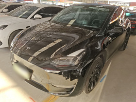 特斯拉 Model Y 2021款 标准续航后驱版