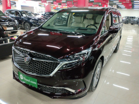 别克GL8 2020款 Avenir艾维亚 七座亲礼版