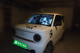 吉利银河 2024款 熊猫mini 200km 耐力熊
