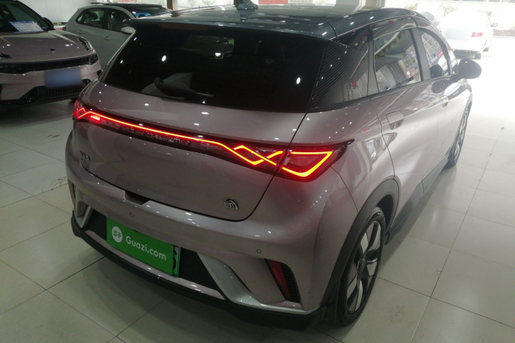 比亚迪 海豚 2023款 401km 骑士版车身外观6005