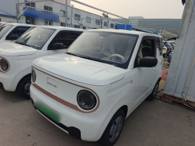 吉利银河 2024款 熊猫mini 200km 耐力熊