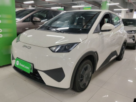 比亚迪 海鸥 2025款 智驾版 305km 活力版