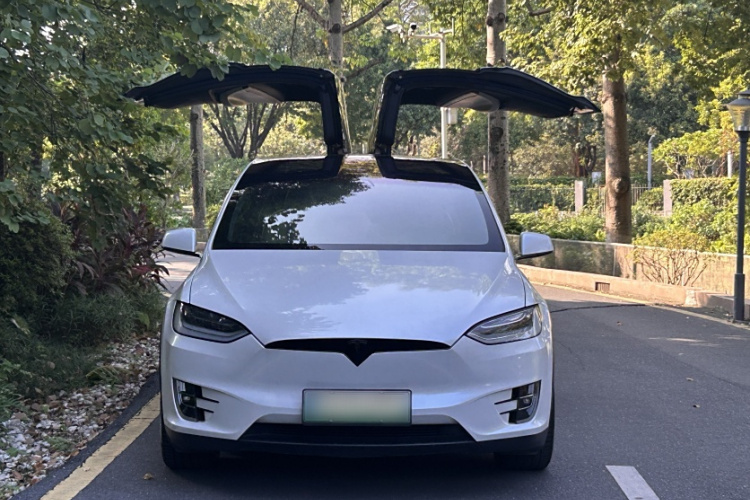 特斯拉 Model X 2019款 长续航版车身外观6007