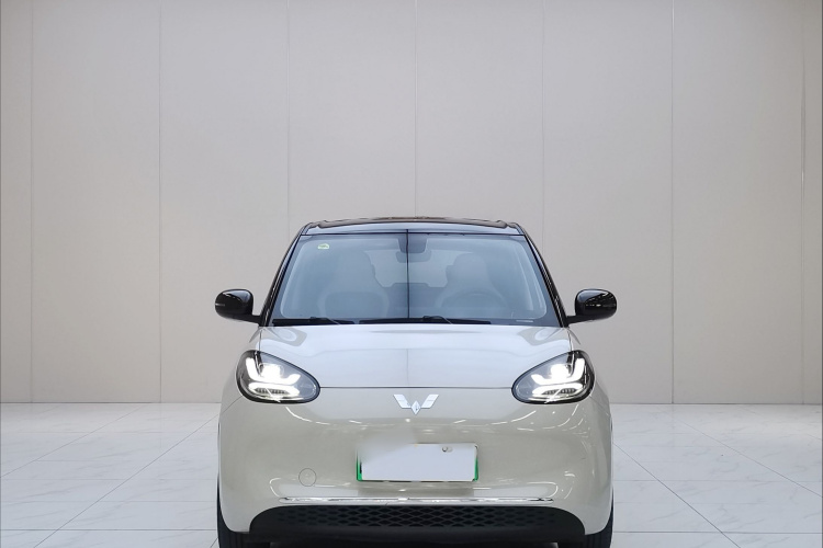 五菱汽车 五菱缤果 2023款 410km 灵犀尊享款车身外观6002