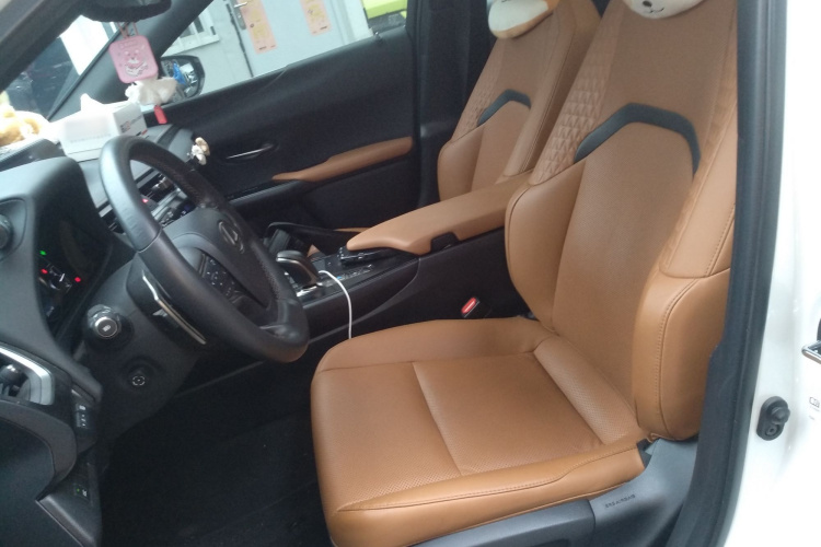 雷克萨斯UX新能源 2020款 300e 纯·悦版局部细节19