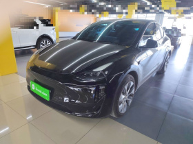 特斯拉 Model Y 2022款 后轮驱动版