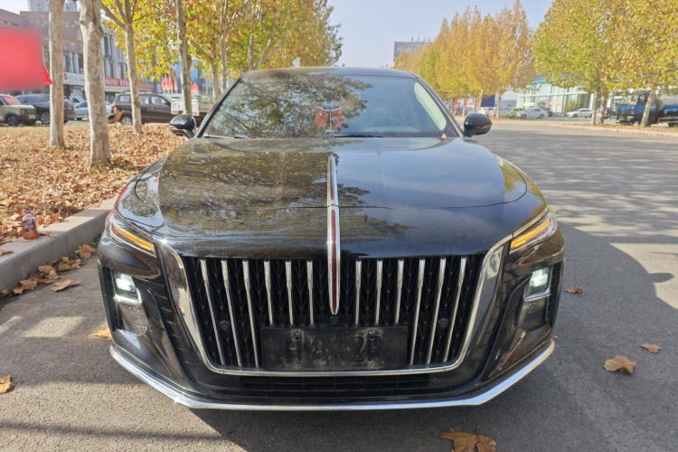 红旗H5 2023款 2.0T 自动智联旗享版车身外观2