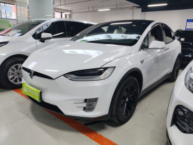 特斯拉 Model X 2019款 长续航版