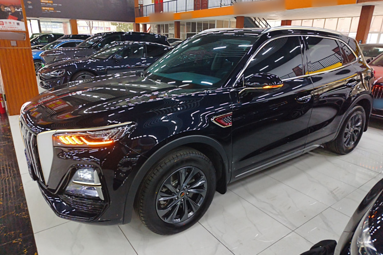 红旗HS5 2025款 2.0T 两驱60万辆纪念版车身外观4