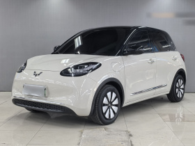 五菱汽车 五菱缤果 2024款 333km 悦享款