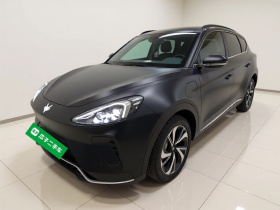 ARCFOX极狐 极狐 阿尔法T(ARCFOX αT) 2023款 480E 森林版 160kW