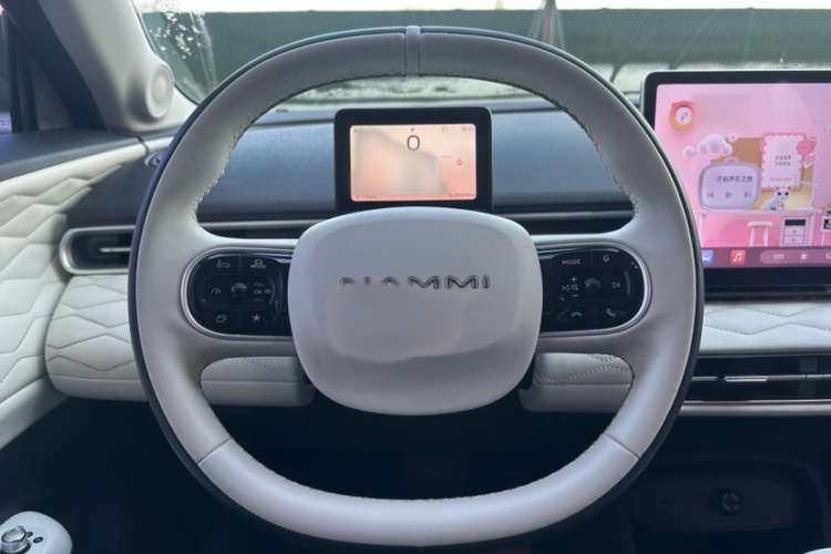 东风纳米 纳米01 2024款 330 Plus智+局部细节13