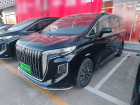 红旗HQ9 PHEV 2024款 2.0T 四驱商务版