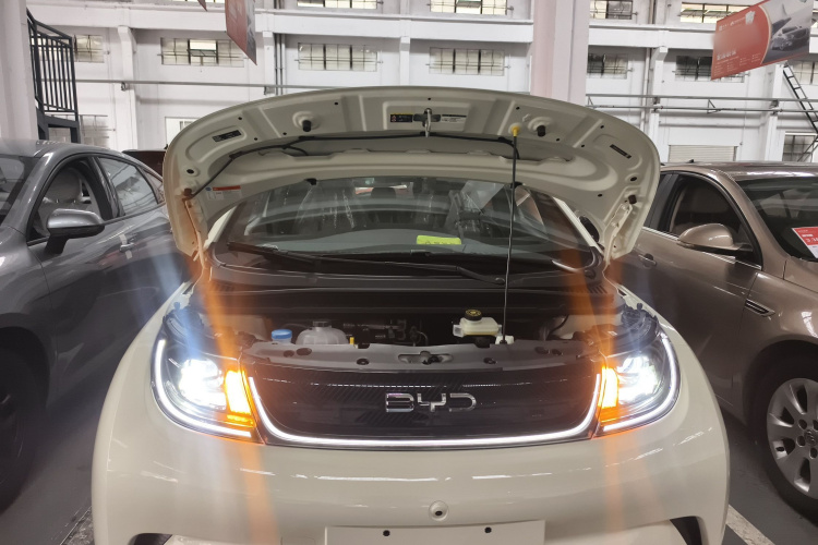 比亚迪 海豚 2025款 420km 自由版机舱底盘24