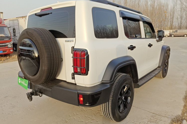 坦克300 2024款 2.0T 征服者车身外观7