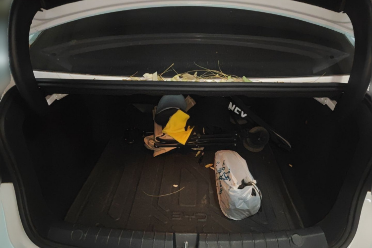 比亚迪 秦PLUS 2023款 冠军版 EV 610KM卓越型中控内饰23