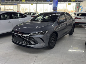 比亚迪 秦PLUS 2024款 荣耀版 DM-i 55KM领先型