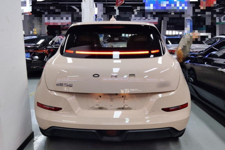 欧拉好猫 2023款 401km标准续航 尊荣型 磷酸铁锂车身外观6004