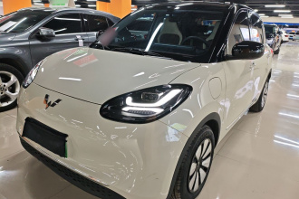 五菱汽车 五菱缤果 2024款 333km 悦享款