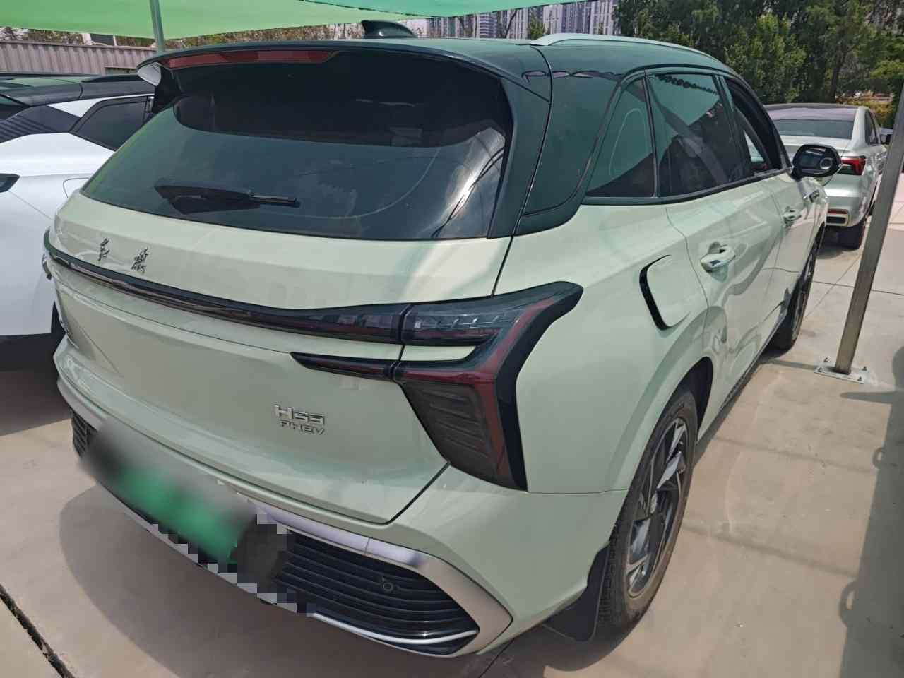 红旗HS3 PHEV 2024款 115km 劲为版(5)