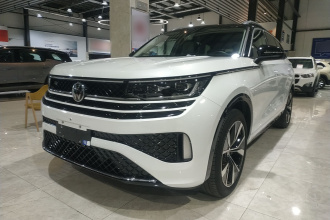 大众 揽巡 2023款 380TSI 四驱R-Line巡礼版