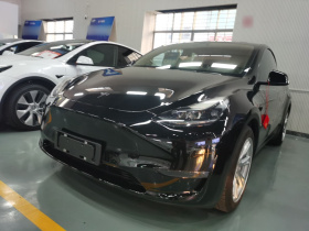 特斯拉 Model Y 2021款 长续航全轮驱动版