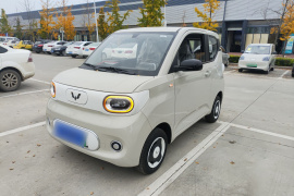 五菱汽车 宏光MINIEV 2024款 第三代 215km 青春版