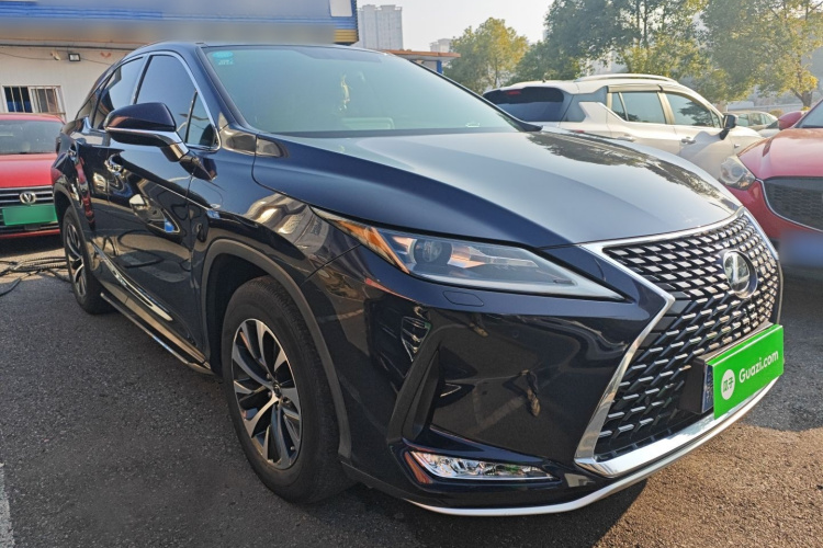 雷克萨斯RX 2020款 300 两驱精英版 国VI车身外观3