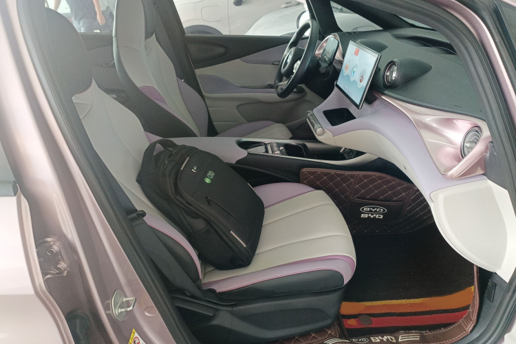 比亚迪 海豚 2021款 405km 时尚版局部细节41