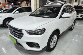 哈弗H6 2021款 运动版 1.5T 自动精英智联型 六边形格栅