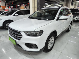 哈弗H6 2021款 运动版 1.5T 自动精英智联型 六边形格栅