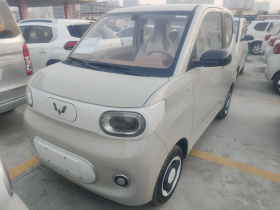 五菱汽车 宏光MINIEV 2024款 第三代 215km 青春版