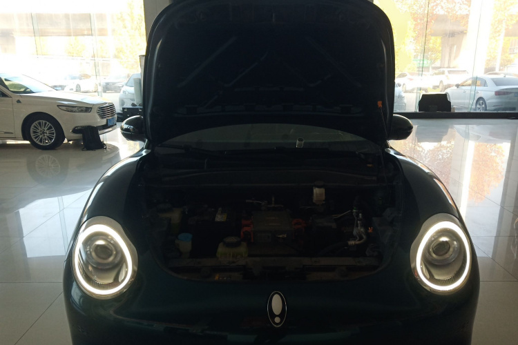 欧拉好猫 2021款 400km标准续航 雅典娜版 三元锂机舱底盘24