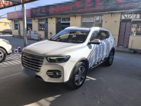 哈弗H6 2017款 红标 2.0T 自动两驱智尚型