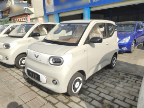 五菱汽车 宏光MINIEV 2024款 第三代 215km 青春版