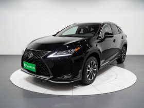 雷克萨斯RX 2020款 改款 300 两驱精英版