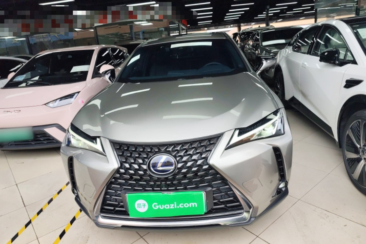 雷克萨斯UX新能源 2020款 300e 纯·悦版车身外观6001