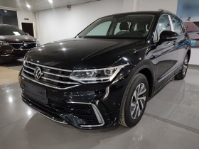 大众 途观L新能源 2023款 430PHEV 插电混动尊贵版