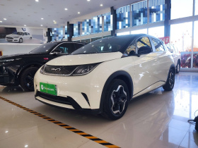 比亚迪 海豚 2021款 405km 时尚版