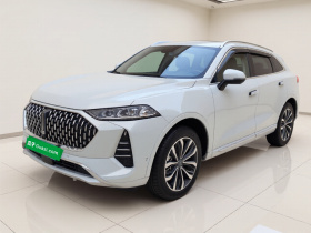 魏牌 摩卡 2021款 2.0T 两驱特浓版