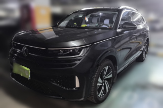 大众 揽巡 2024款 380TSI 四驱R-Line巡游版