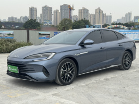 比亚迪 海豹 2024款 荣耀版 DM-i 1.5L 121km 豪华型