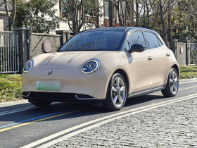 欧拉好猫 2021款 400km标准续航 雅典娜版 磷酸铁锂