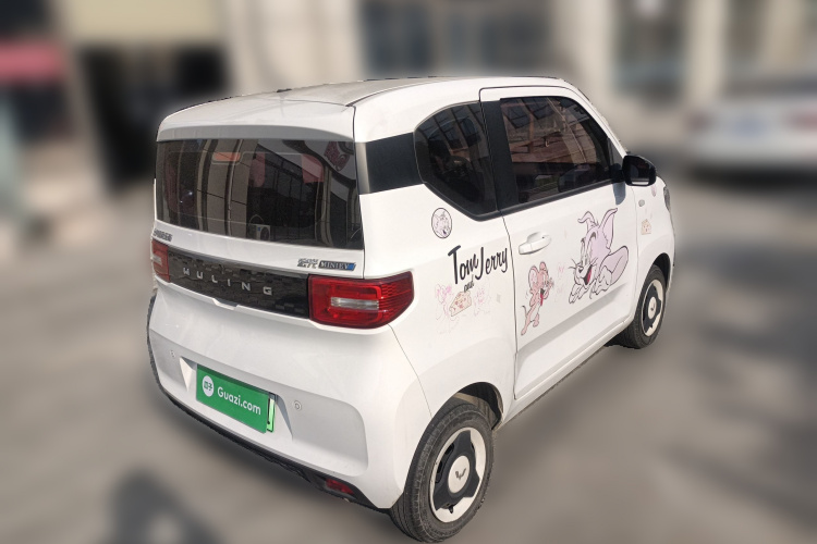 五菱汽车 宏光MINIEV 2022款 轻松款 磷酸铁锂车身外观6005